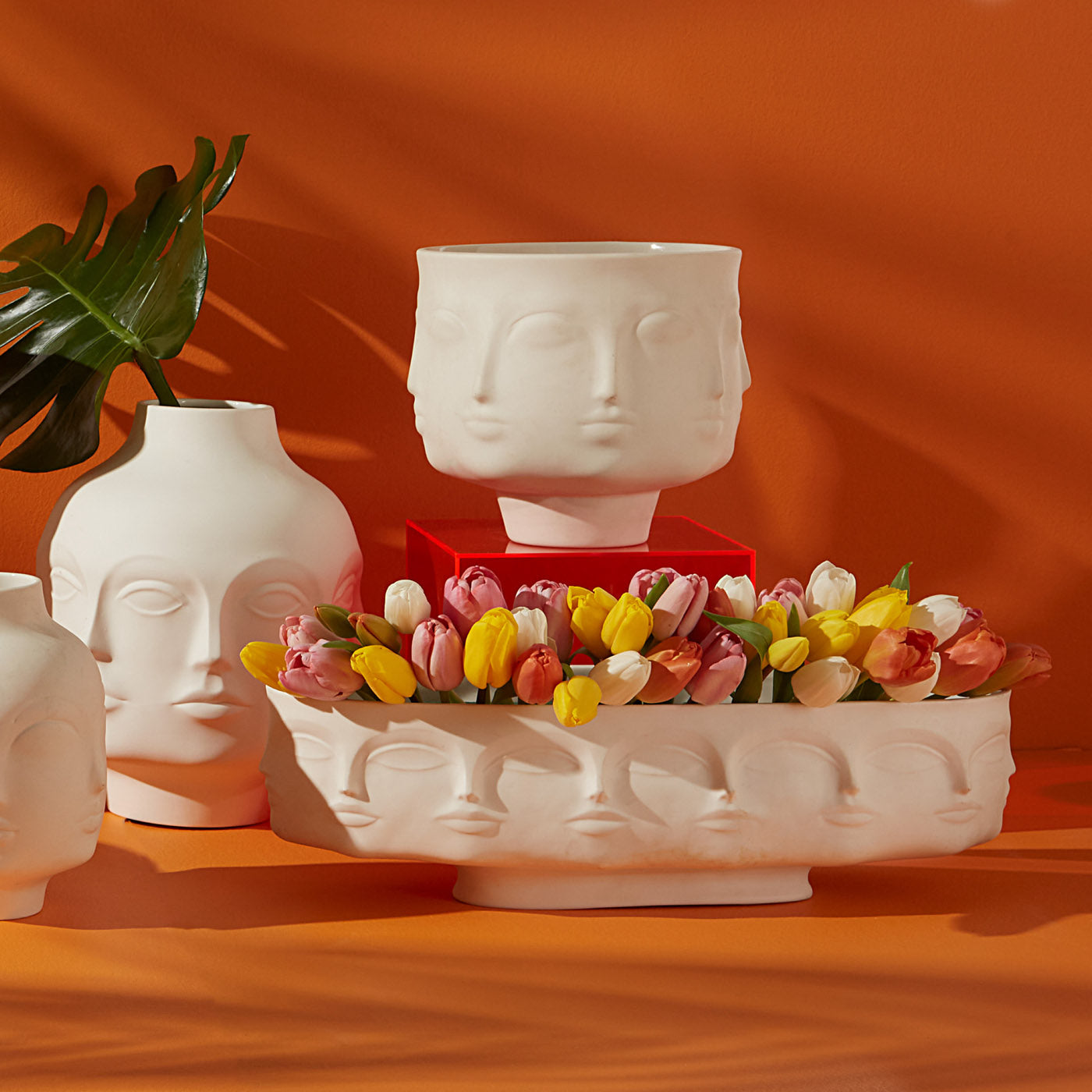 Dora Maar Long Bowl - group shot
