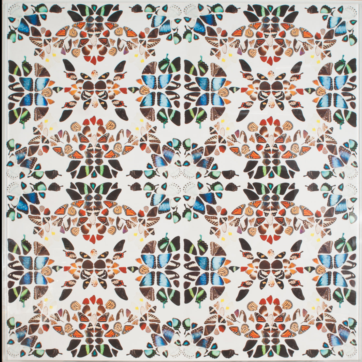 butterfly patterns 1 print - front view