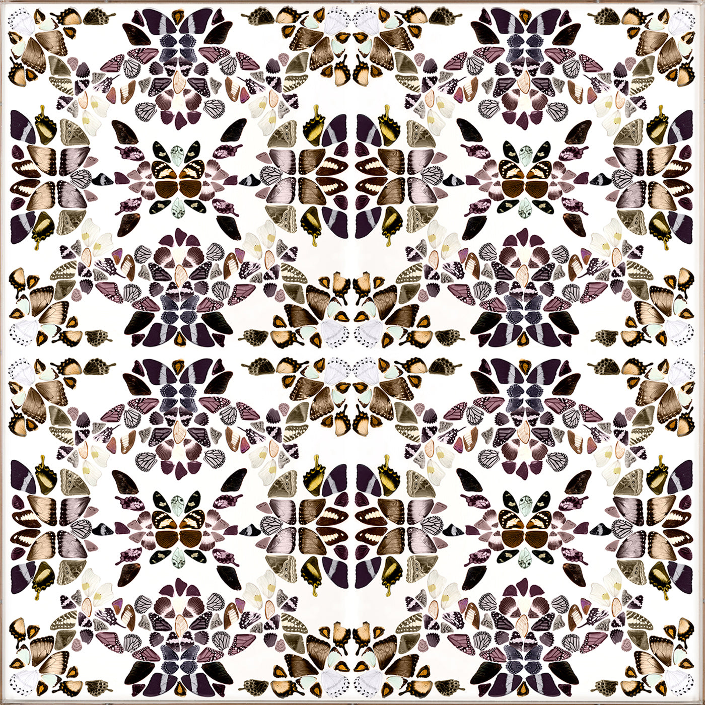 butterfly patterns 2 print - front view