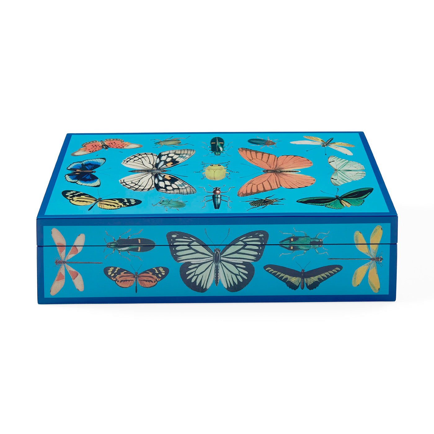large botanist lacquer box blue - front view