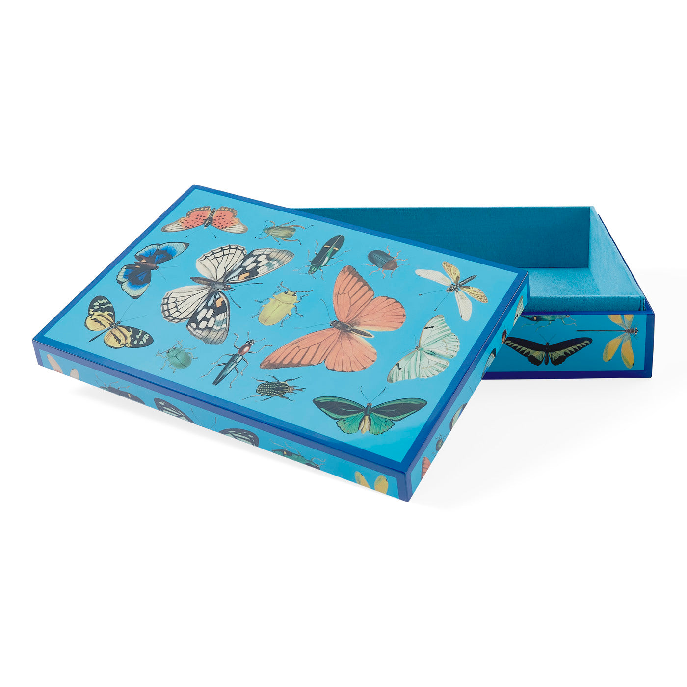 large botanist lacquer box blue open - front view