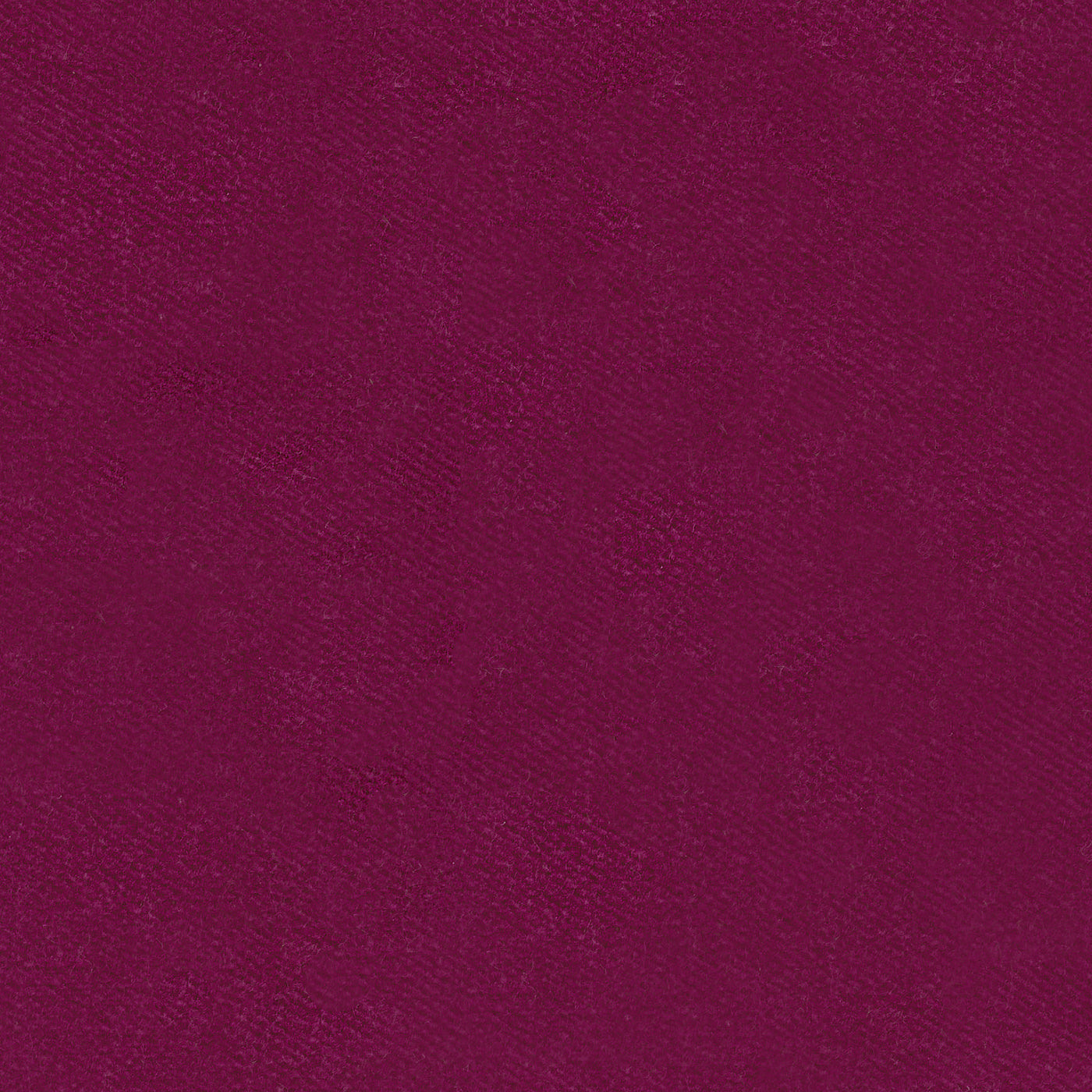 Venice Berry
