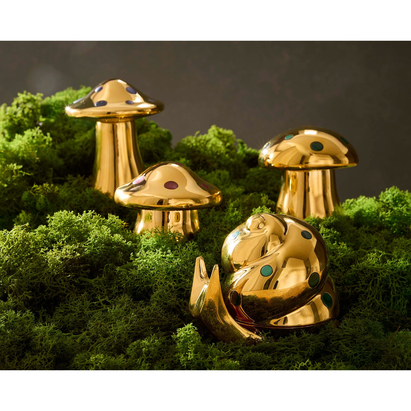 Brass Snail Box - group view