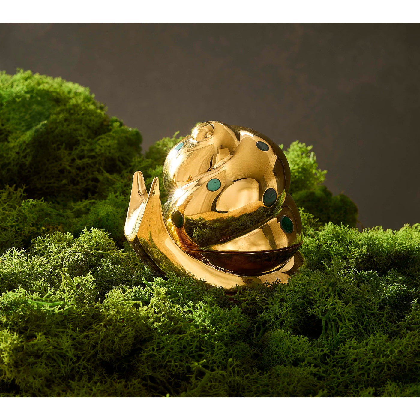 Brass Snail Box - styled view