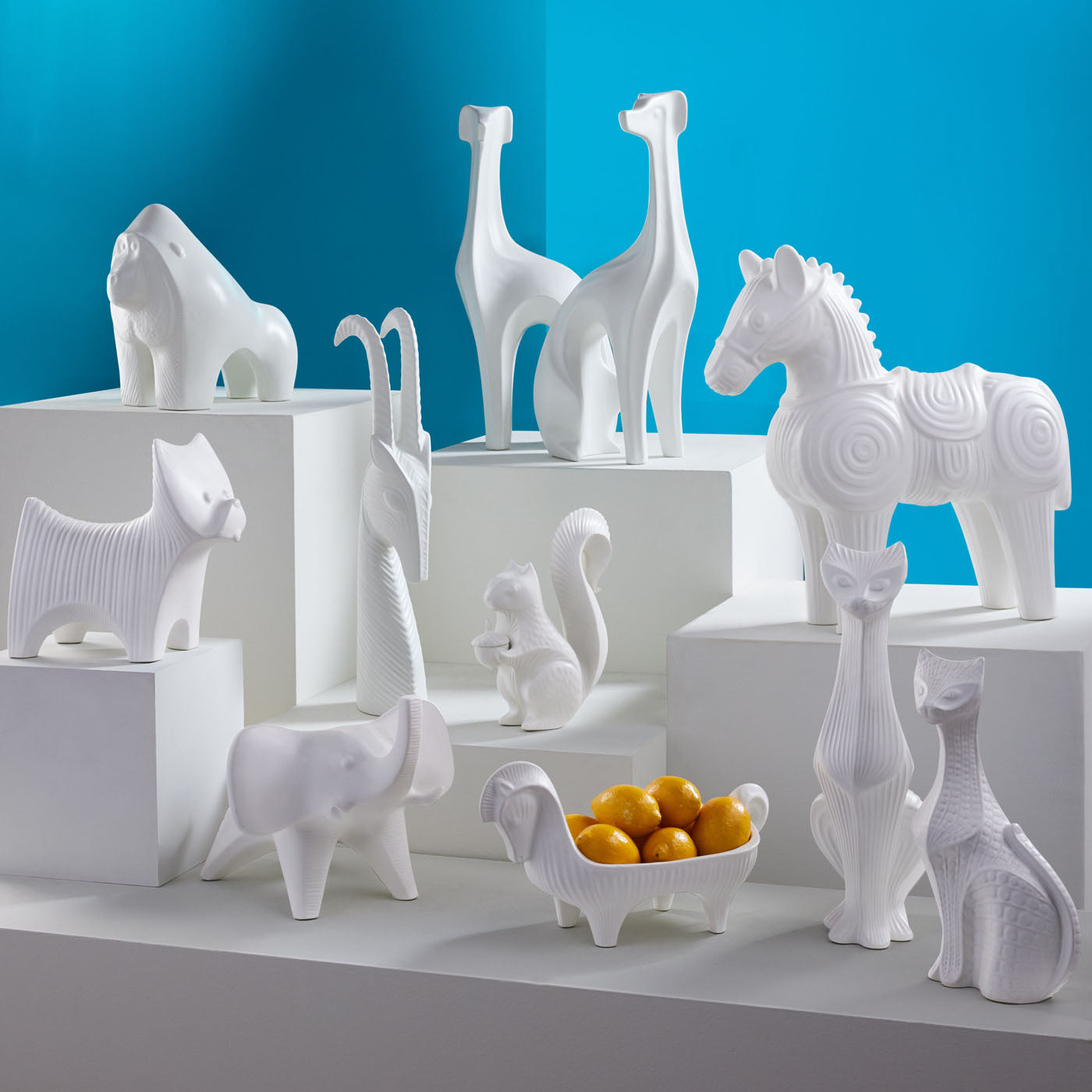 menagerie cat collection - group view