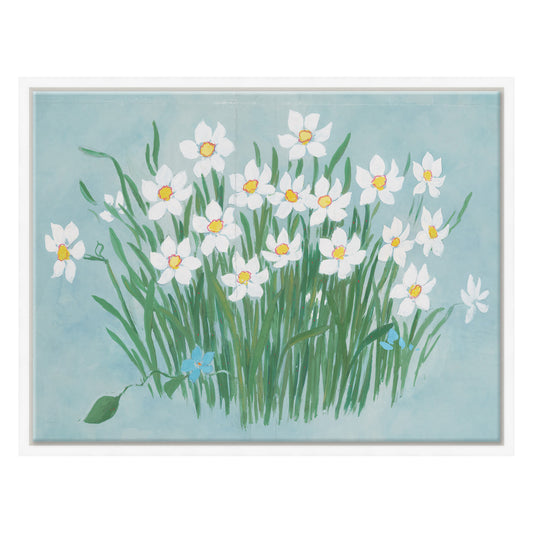 Paule Marrot  - Camellia