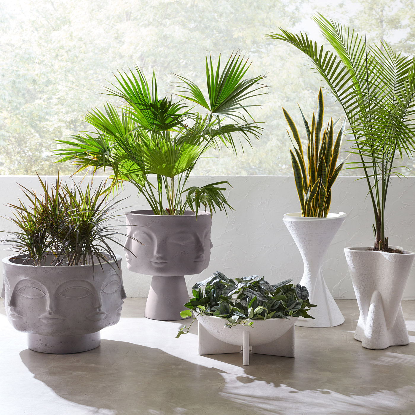 ftd deeply adored palm planter Dora Maar Planter in Aerated Cement