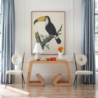 barraband toucans 1 print riviera waterfall console rondo dining chairs - styled view