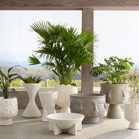 Dora Maar Planter - summer shot