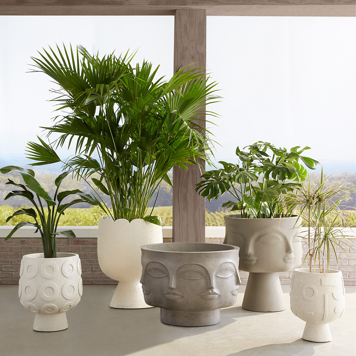 Scallop Concrete_Planter - styled view