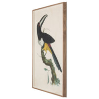 barraband toucans 2 print - angle view
