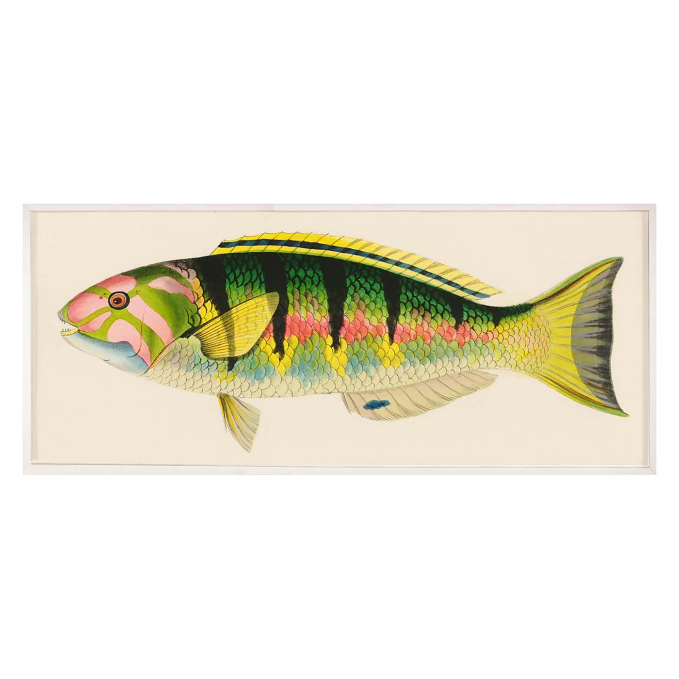 bennet fish 3 print - front view