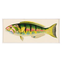 bennet fish 3 print - front view