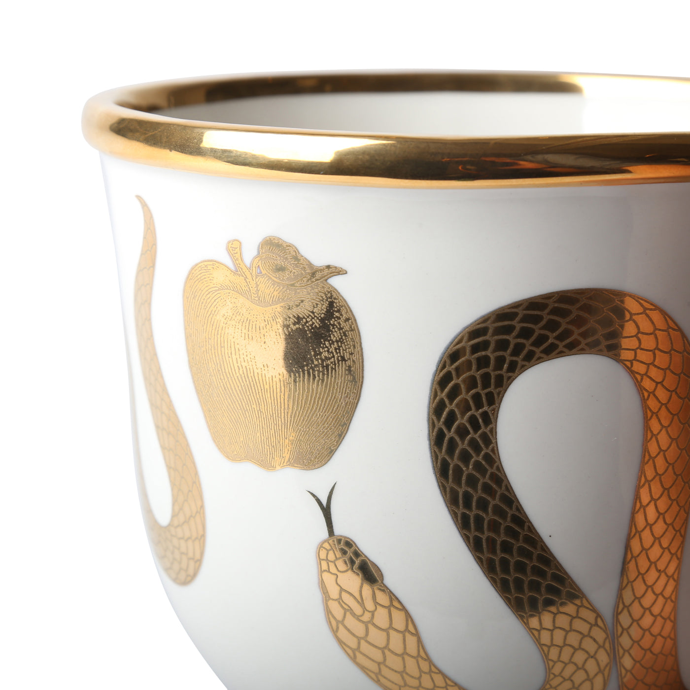 Jonathan Adler 大皿 Botanist Snake & Apple Bowl – Jonathan Adler
