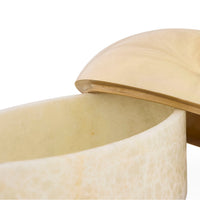 Close-up of a wooden chair with a curved design on a white background