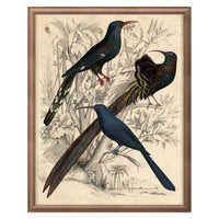 gallivani birds 2 prints - front view