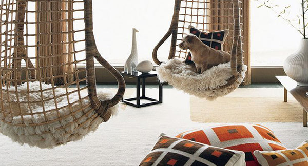 Interior Details
