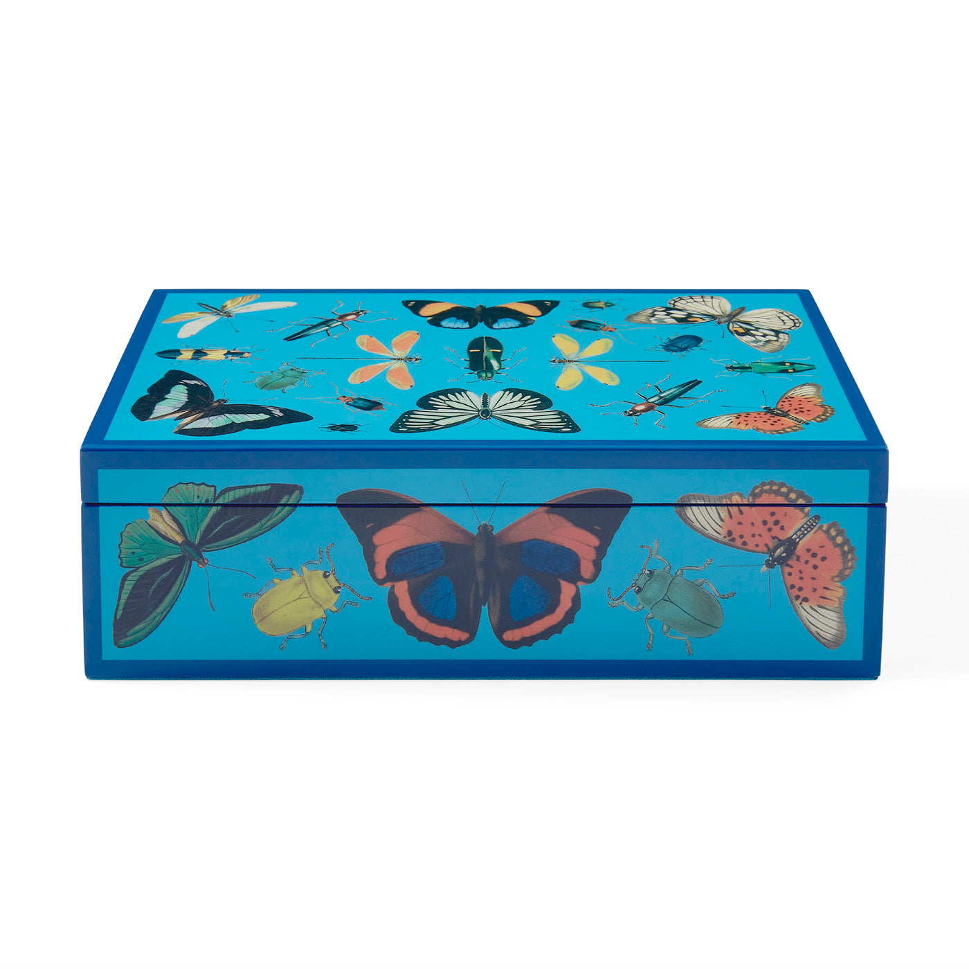 Medium Botanist Lacquer Box in Velvet and Lacquer | Jonathan Adler