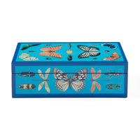 small botanist lacquer box blue - front view