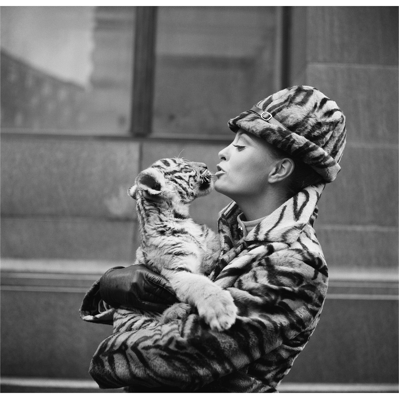 "tiger lady" from getty images - front view