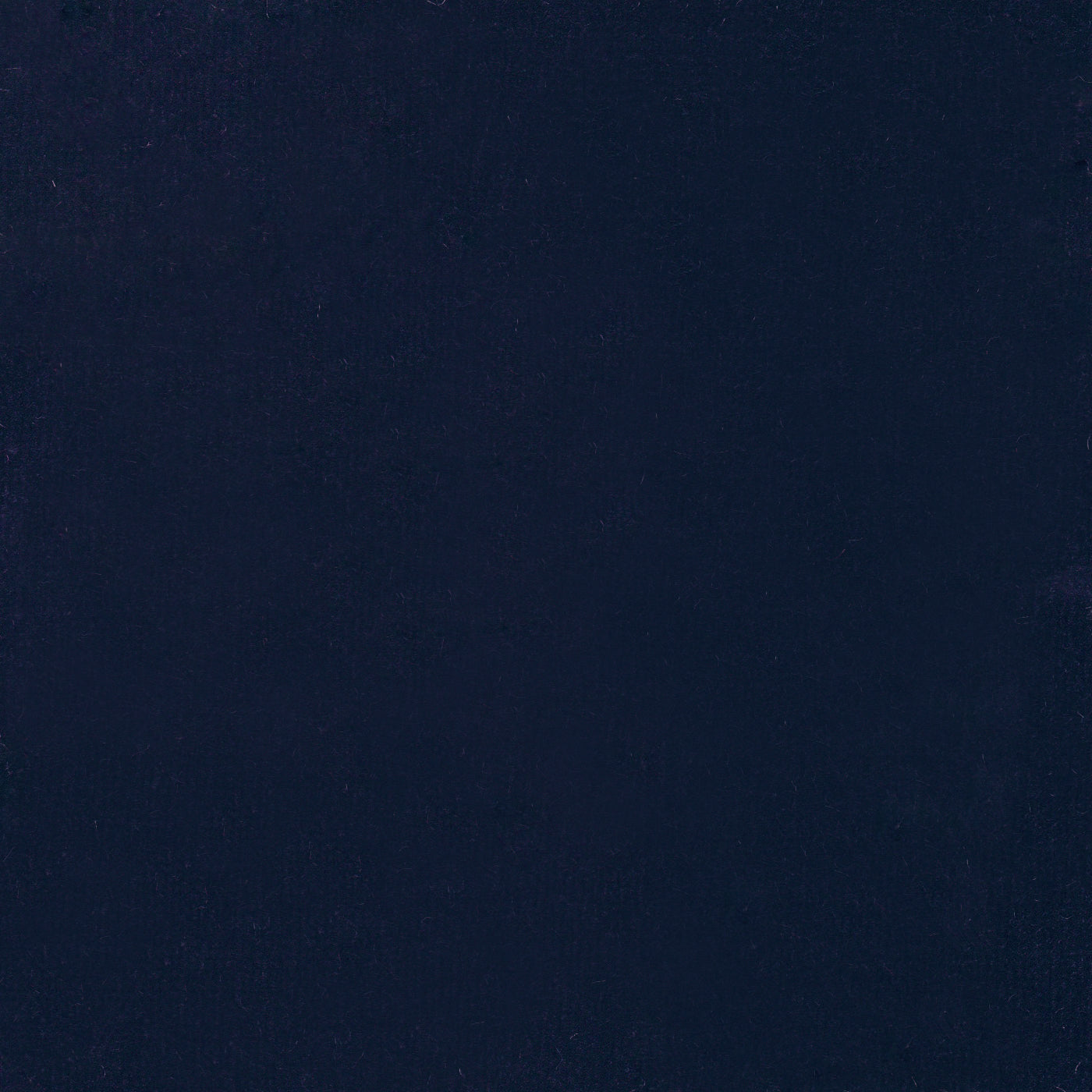 Venice Navy
