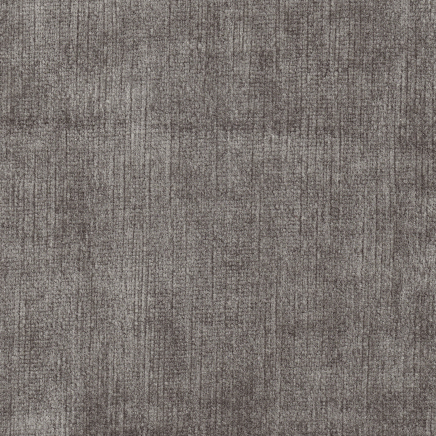 Brussels Charcoal