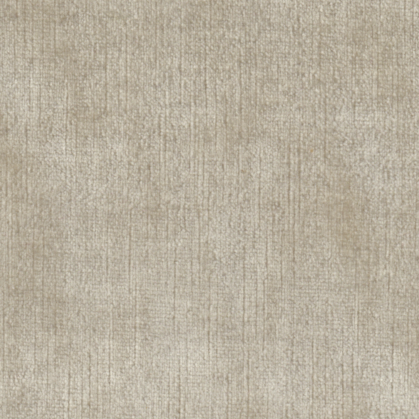 Brussels Pearl