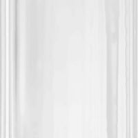 Aluminum