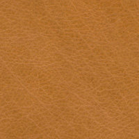 Lucia Camel