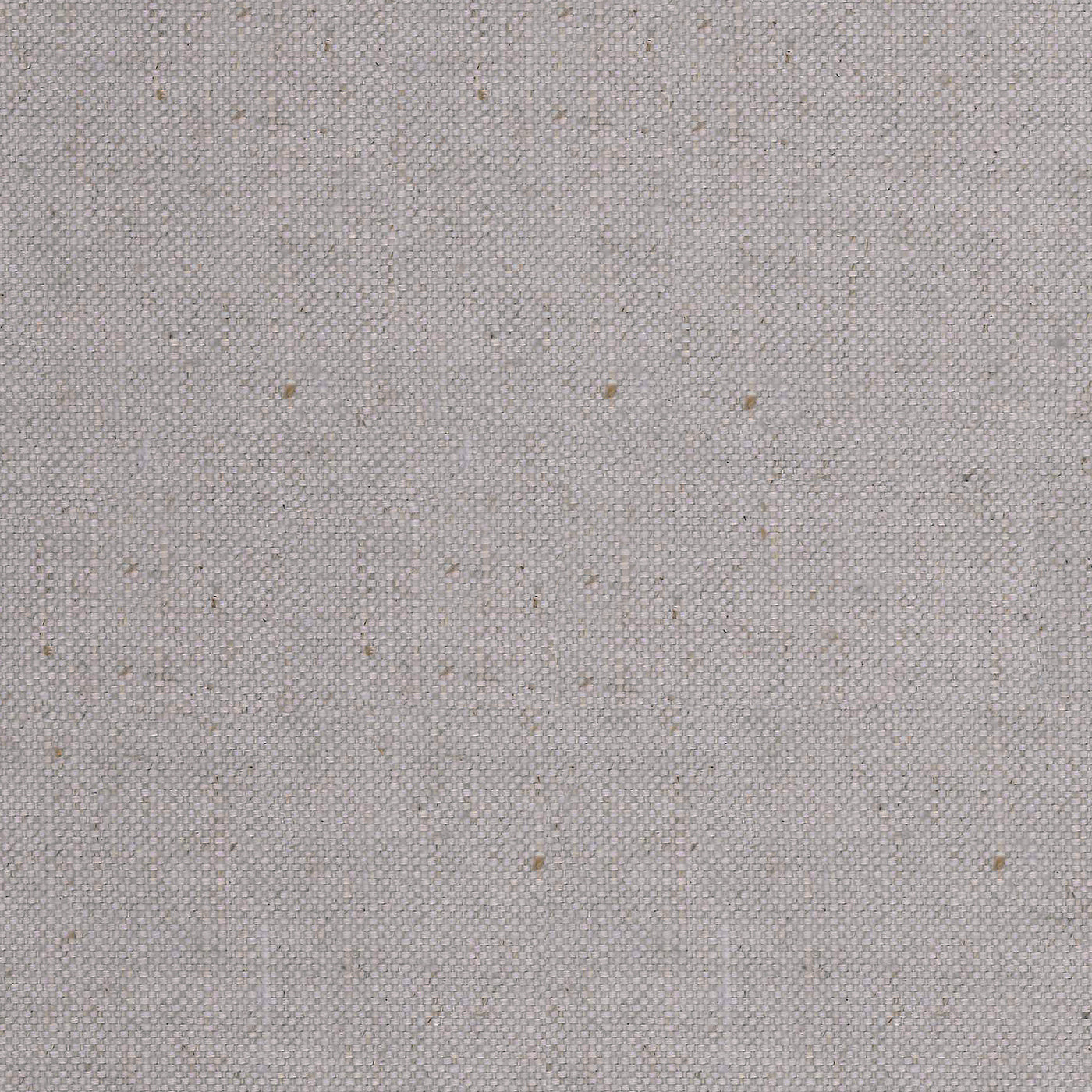 Norwich Grey